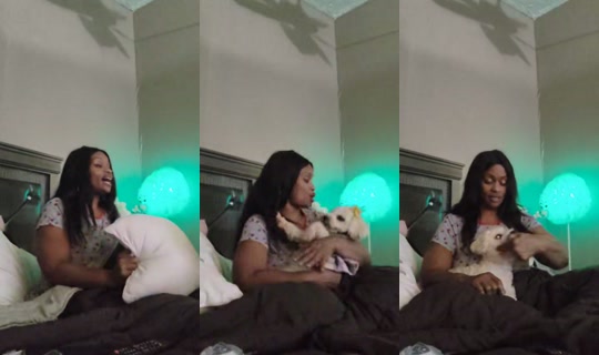 section8toni TikTok Live — Sep 30, 2026, 1:49 AM