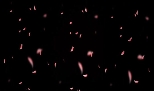 sel7778 TikTok Live — Oct 2, 2026, 4:45 PM