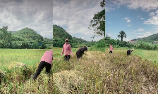 sena75840 TikTok Live — Sep 19, 2026, 7:28 AM