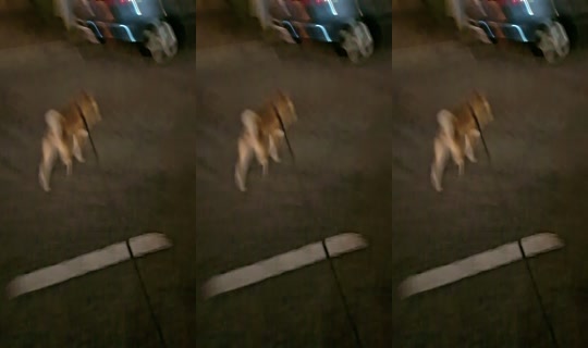 september_927 TikTok Live — Sep 24, 2026, 5:14 PM