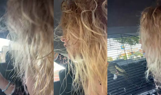 serena_200321 TikTok Live — Oct 2, 2026, 2:40 PM