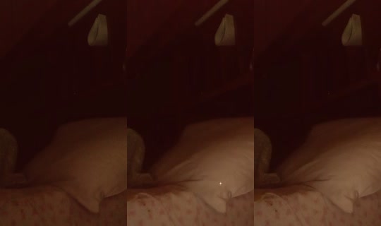 sfigata7 TikTok Live — Sep 2, 2026, 12:56 AM