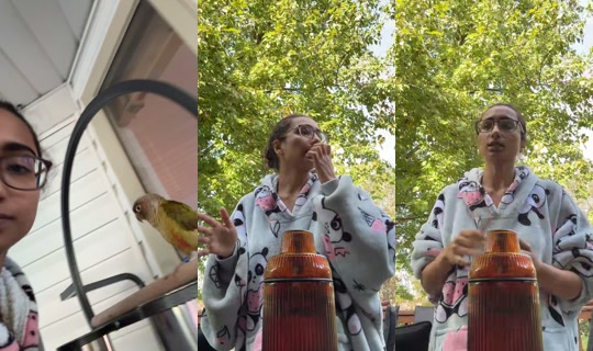 shagisabadwordhateslife TikTok Live — Oct 2, 2026, 1:32 PM