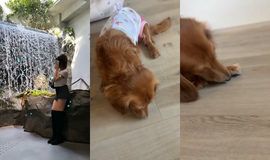 shan_.xo00 TikTok Live — Aug 30, 2026, 8:16 AM