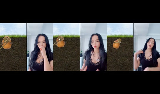 shanke_34 TikTok Live — Oct 3, 2026, 10:02 AM