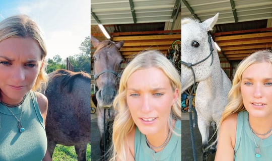 shannonk22 TikTok Live — Sep 19, 2026, 10:20 PM