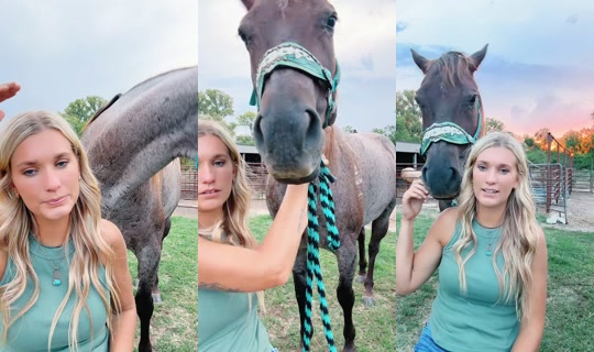 shannonk22 TikTok Live — Sep 20, 2026, 12:01 AM