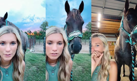 shannonk22 TikTok Live — Sep 20, 2026, 12:30 AM