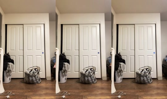 shessforeiiign TikTok Live — Aug 29, 2026, 5:41 AM