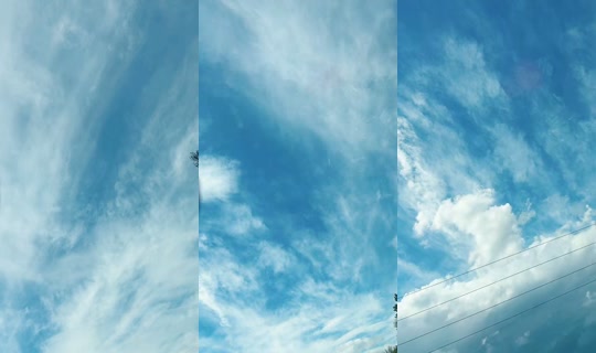 shew.fly.dont.bother.me TikTok Live — Oct 1, 2026, 6:59 PM