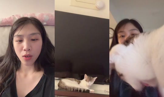 shia6333 TikTok Live — Sep 30, 2026, 3:12 PM