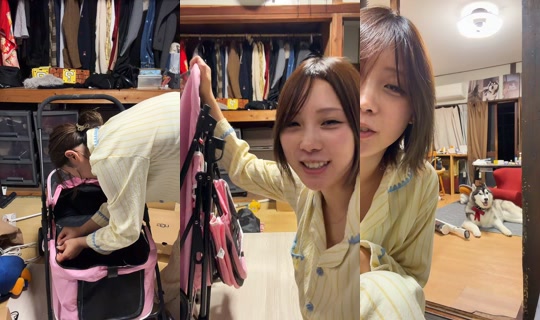 shoomatu0610 TikTok Live — Sep 1, 2026, 11:14 AM