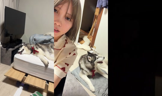 shoomatu0610 TikTok Live — Sep 2, 2026, 11:45 AM