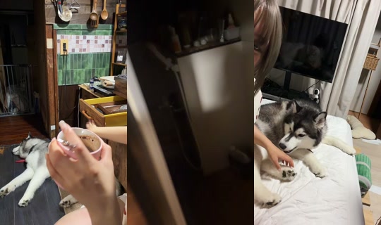 shoomatu0610 TikTok Live — Sep 2, 2026, 1:27 PM