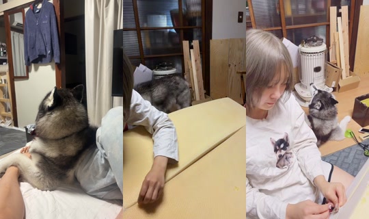 shoomatu0610 TikTok Live — Sep 3, 2026, 1:44 PM