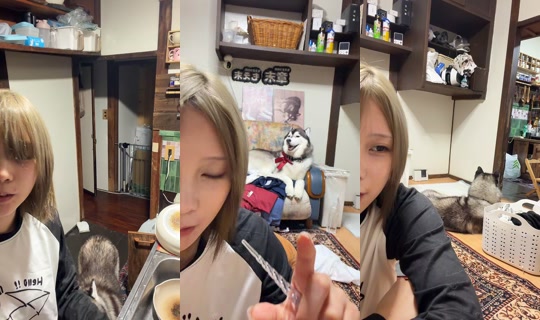 shoomatu0610 TikTok Live — Sep 25, 2026, 11:32 AM