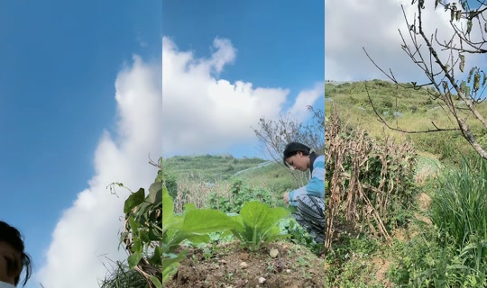 si408871 TikTok Live — Sep 23, 2026, 8:36 AM