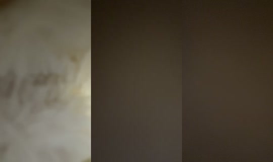 siennaxgreenblate TikTok Live — Sep 27, 2026, 9:01 AM