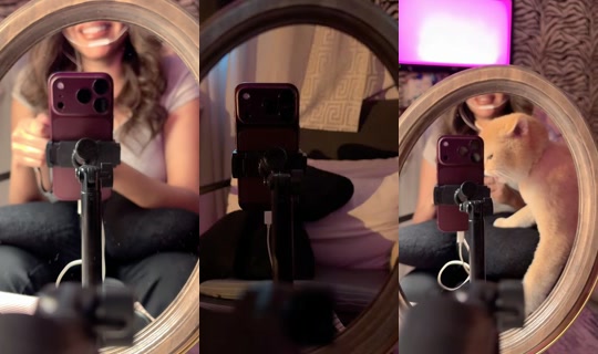 sii1iie TikTok Live — Oct 9, 2026, 12:21 PM