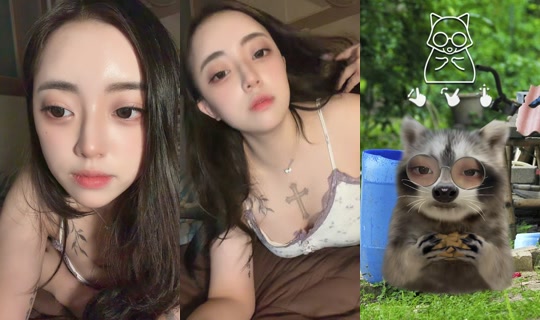 siucatisme TikTok Live — Sep 18, 2026, 4:11 PM