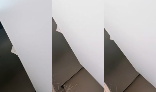 sjiscc TikTok Live — Sep 21, 2026, 7:38 AM