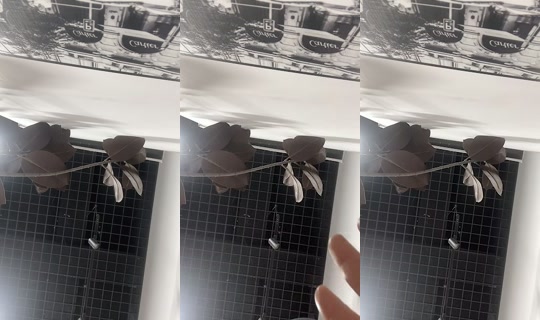 smalltiktoker220524 TikTok Live — Sep 1, 2026, 1:39 PM