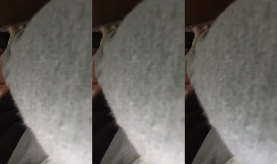 smalltiktoker220524 TikTok Live — Oct 6, 2026, 4:58 AM