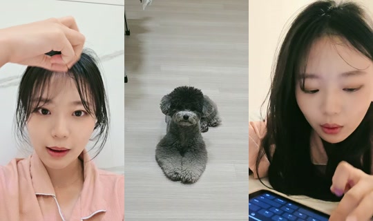 sol_h526 TikTok Live — Sep 22, 2026, 2:49 PM