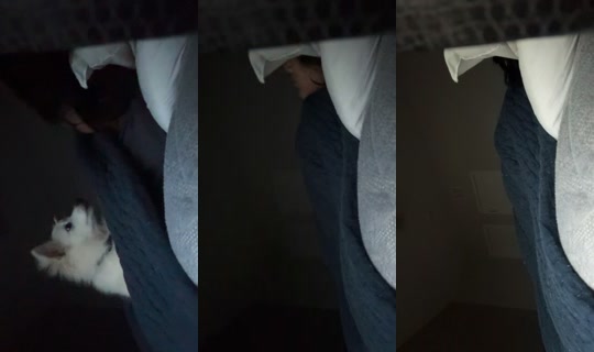 someonesavemeplss TikTok Live — Oct 5, 2026, 11:58 AM