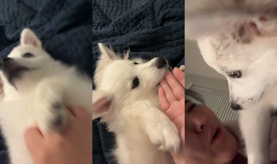 someonesavemeplss TikTok Live — Oct 8, 2026, 8:27 AM