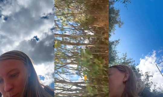 soph20264 TikTok Live — Aug 24, 2026, 11:45 AM