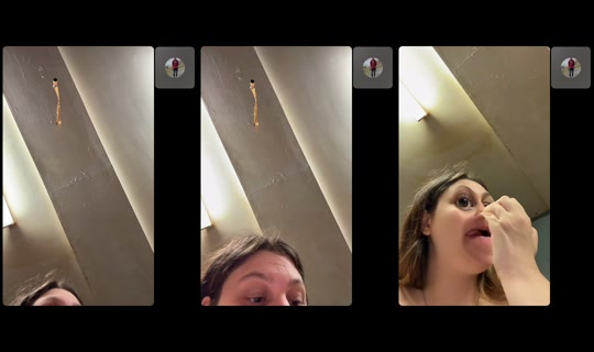 sophieaccount0 TikTok Live — Oct 7, 2026, 10:36 PM