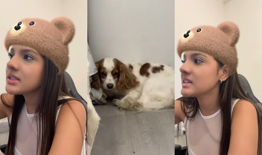 soyandree_2 TikTok Live — Aug 25, 2026, 4:43 AM