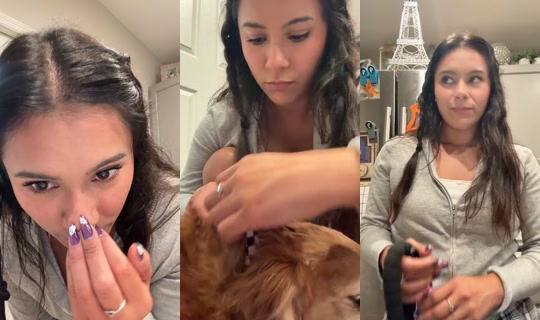 spammiiii25 TikTok Live — Oct 4, 2026, 12:03 AM