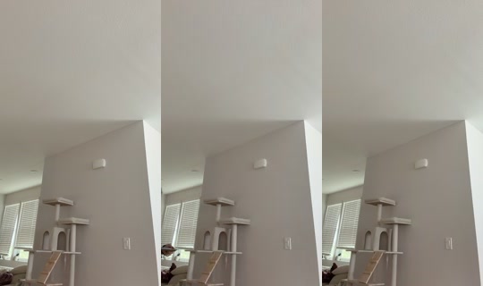 spicedicebaby TikTok Live — Sep 28, 2026, 10:28 PM