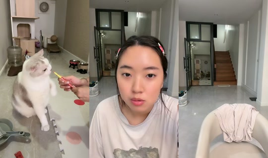 sssiinoon TikTok Live — Sep 26, 2026, 3:13 PM