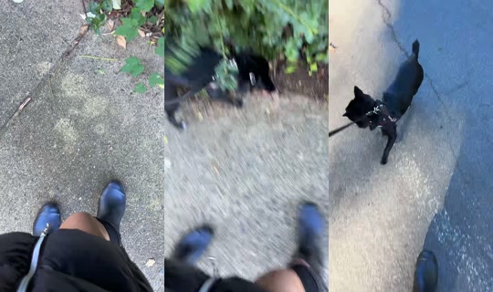 star_love_angel TikTok Live — Oct 7, 2026, 1:17 PM