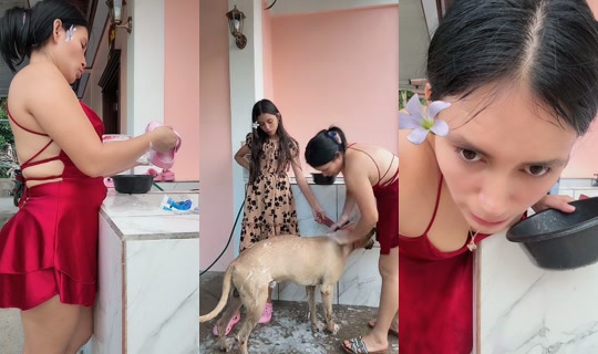 stefany49207124 TikTok Live — Sep 1, 2026, 11:23 PM