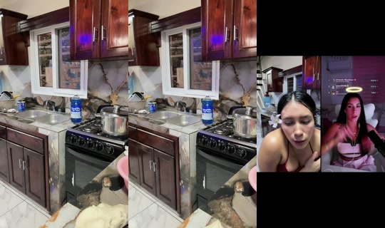 stefany49207124 TikTok Live — Sep 1, 2026, 11:56 PM