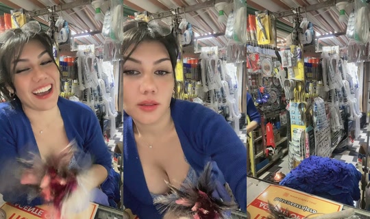 steffywyderr TikTok Live — Aug 29, 2026, 10:22 PM