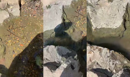 stephanie1234567t TikTok Live — Oct 1, 2026, 8:05 PM