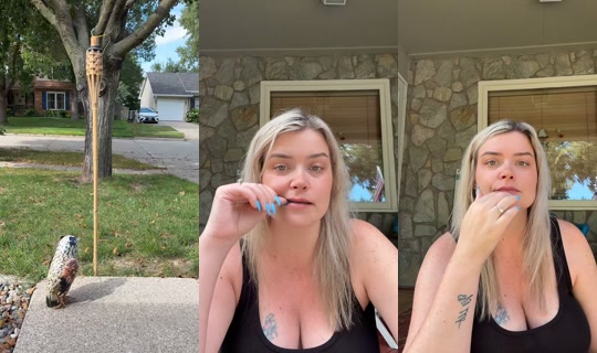 stephonlive12 TikTok Live — Aug 24, 2026, 8:52 PM