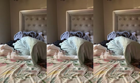 stewiebabii TikTok Live — Oct 7, 2026, 4:30 PM