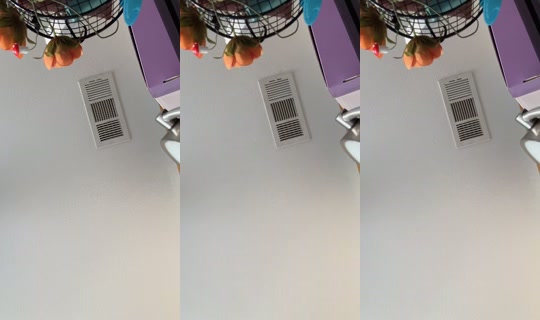 success_sofistory TikTok Live — Sep 14, 2026, 3:06 PM