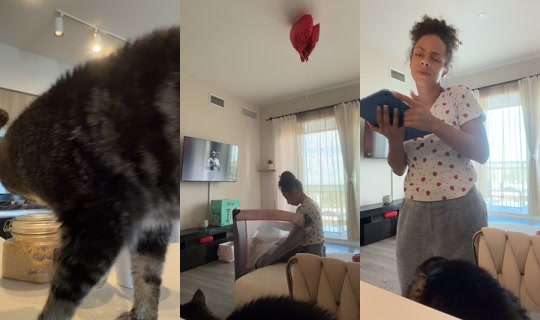 sugarfreellc TikTok Live — Aug 26, 2026, 1:31 PM