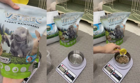 sugarrbunny_family TikTok Live — Aug 30, 2026, 11:11 AM