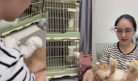 sugarrbunny_family TikTok Live — Aug 30, 2026, 12:46 PM