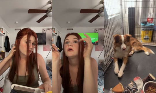 sugglebunn81 TikTok Live — Sep 29, 2026, 3:26 PM