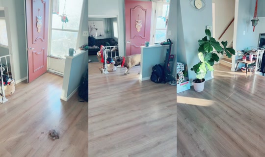 sun_chaser_79 TikTok Live — Aug 28, 2026, 11:33 AM