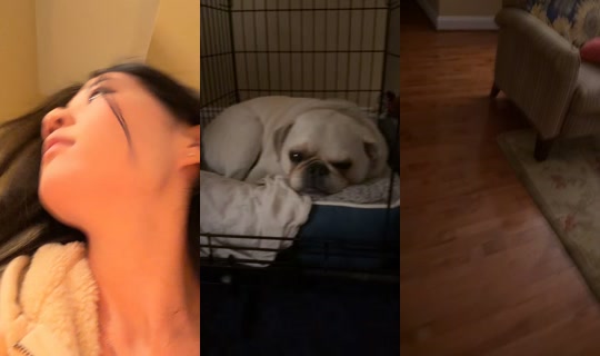 sunflowersareprettycool TikTok Live — Oct 6, 2026, 3:43 AM